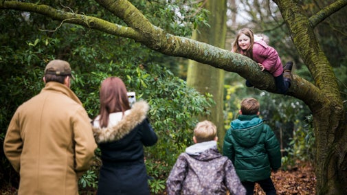 Family exploring Felbrigg estate with a young girl climbing a tree.
